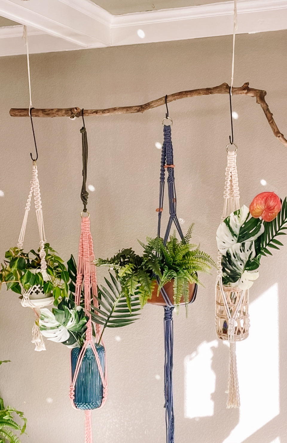 Macrame Plant Hanger Workshop with Malama Macrame