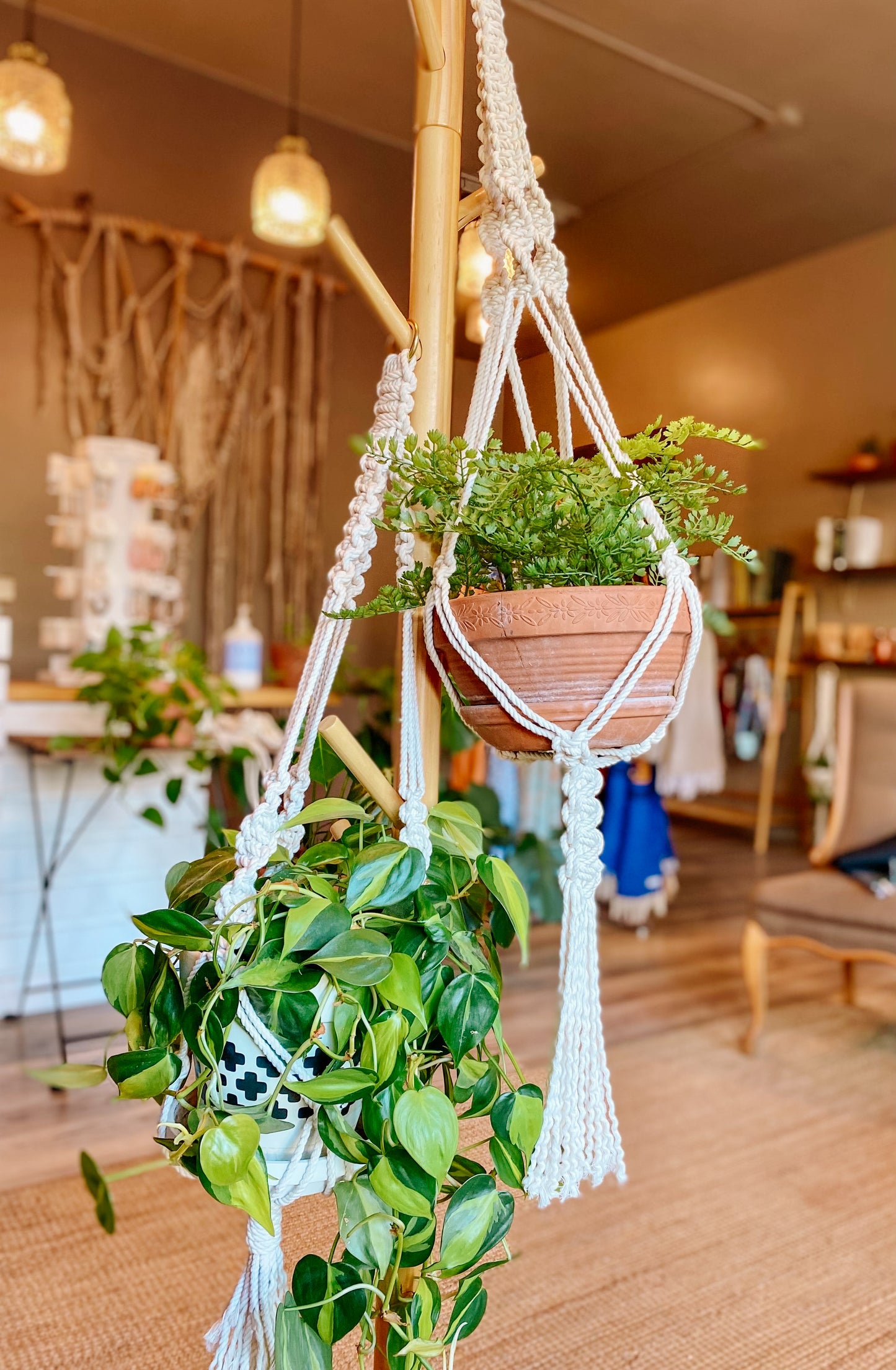 Macrame Plant Hanger Workshop with Malama Macrame