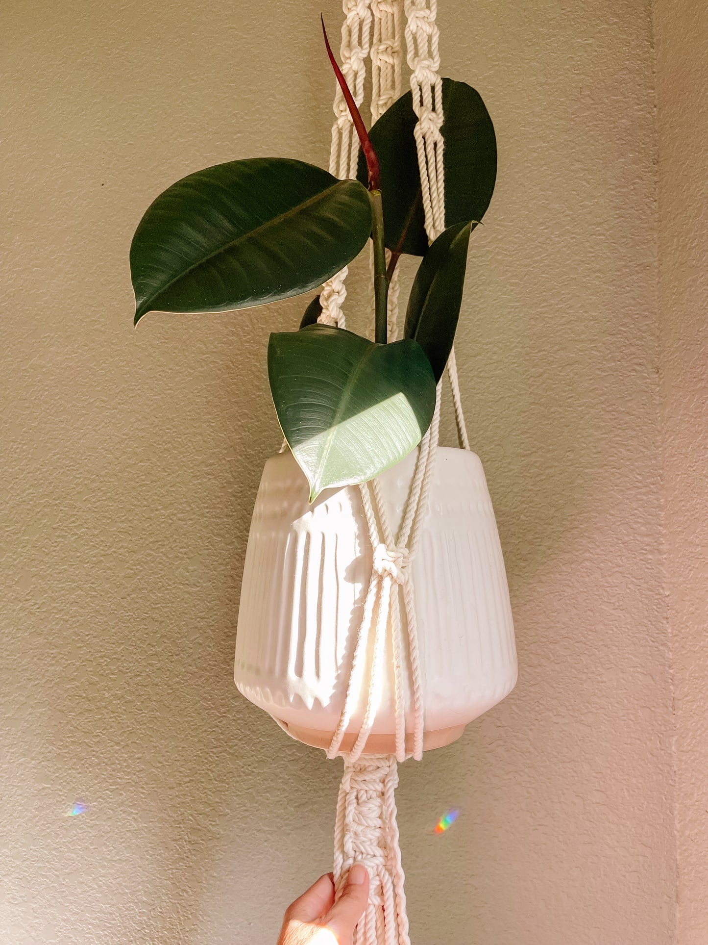 Macrame Plant Hanger Workshop with Malama Macrame