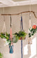 Macrame Plant Hanger Workshop with Malama Macrame