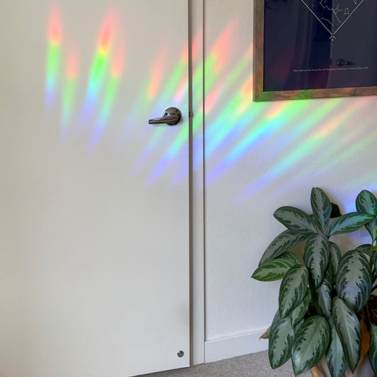 Cactus Suncatcher Decal